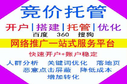 案例解读：SEO与SEM优化助力电商崛起